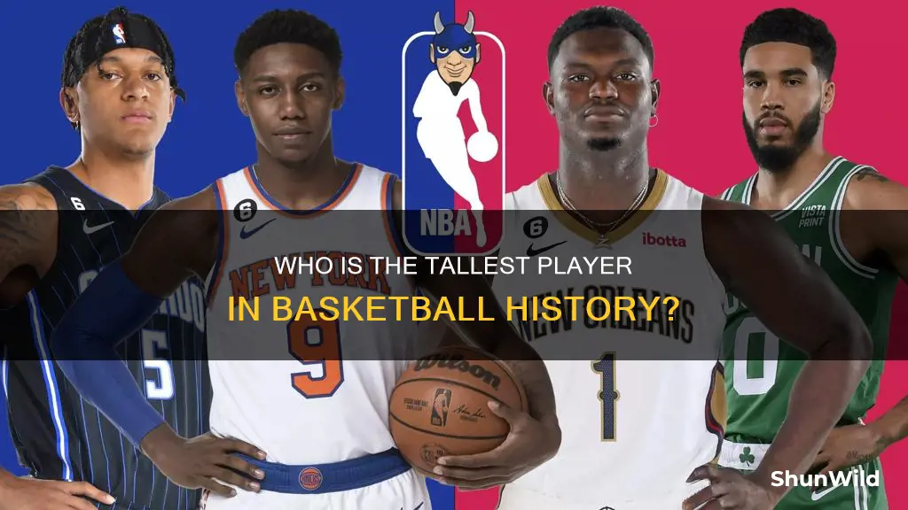 how tall is the tallest man in basketball