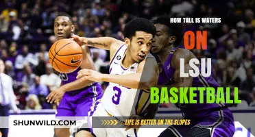Waters' Height: An LSU Basketball Mystery