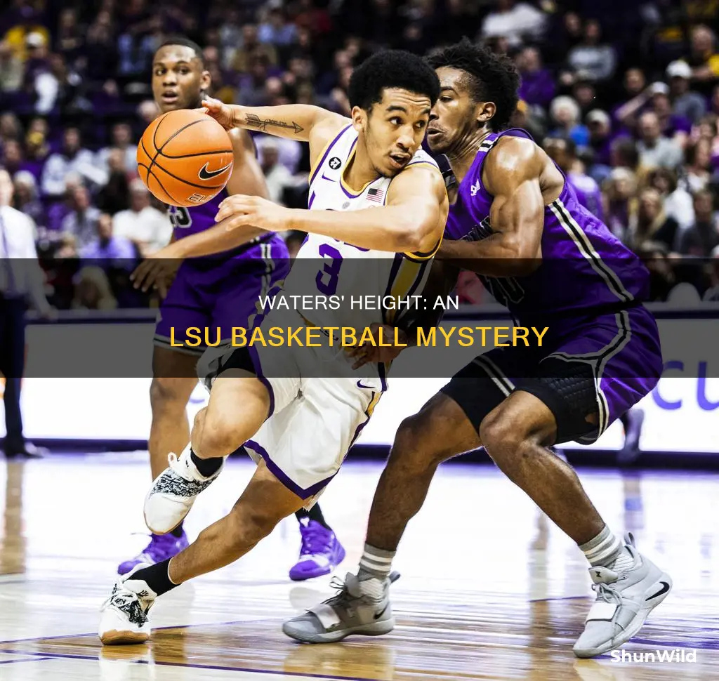 how tall is waters on lsu basketball