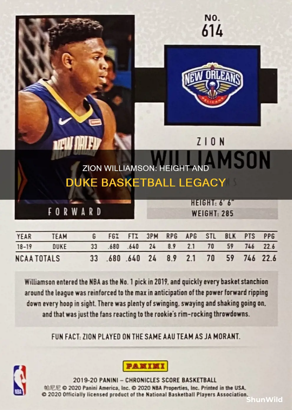how tall is zion williamson from duke basketball