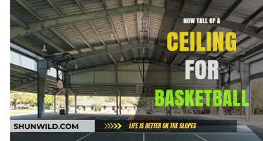 Ideal Ceiling Height for Basketball Courts