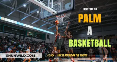 Palm a Basketball: The Height Advantage