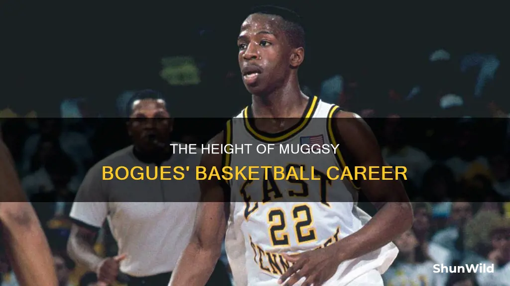 how tall was basketball is muggsy bogues