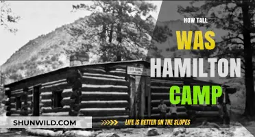 Unveiling Hamilton Camp's Height: A Surprising Fact Revealed