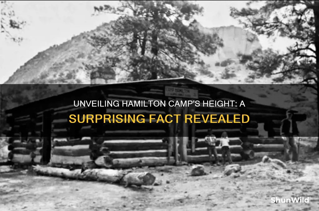 how tall was hamilton camp
