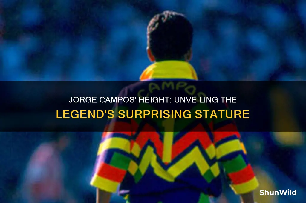 how tall was jorge campos