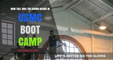 USMC Boot Camp's Diving Board: Height and Training Insights