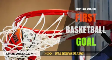 The First Basketball Goal: How Tall Was It?