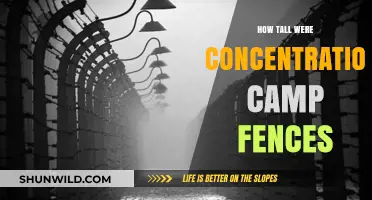 Concentration Camp Fences: Height, Design, and Purpose Explored