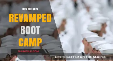 Navy's Boot Camp Overhaul: Modernizing Training for Today's Sailors