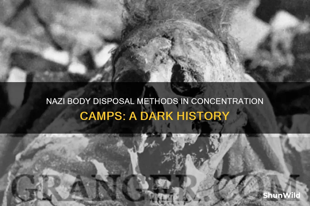 how the nazis disposed of the bodies in concentration camps