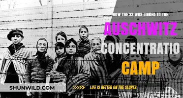 SS Role in Auschwitz: Uncovering the Dark Connection