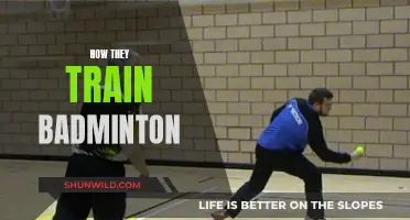 Training Techniques to Master Badminton
