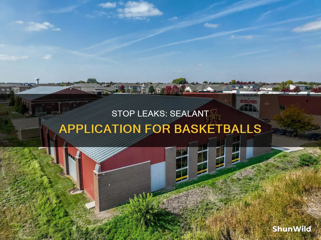 how to a stop leak sealant to basketball