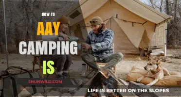 Mastering the Great Outdoors: Your Ultimate Guide to Enjoying Camping