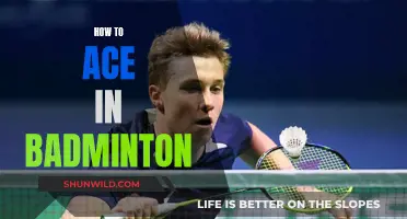 Mastering Badminton: Strategies for Success