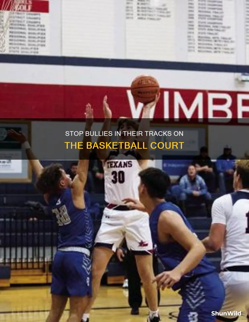 how to address a bully on a basketball