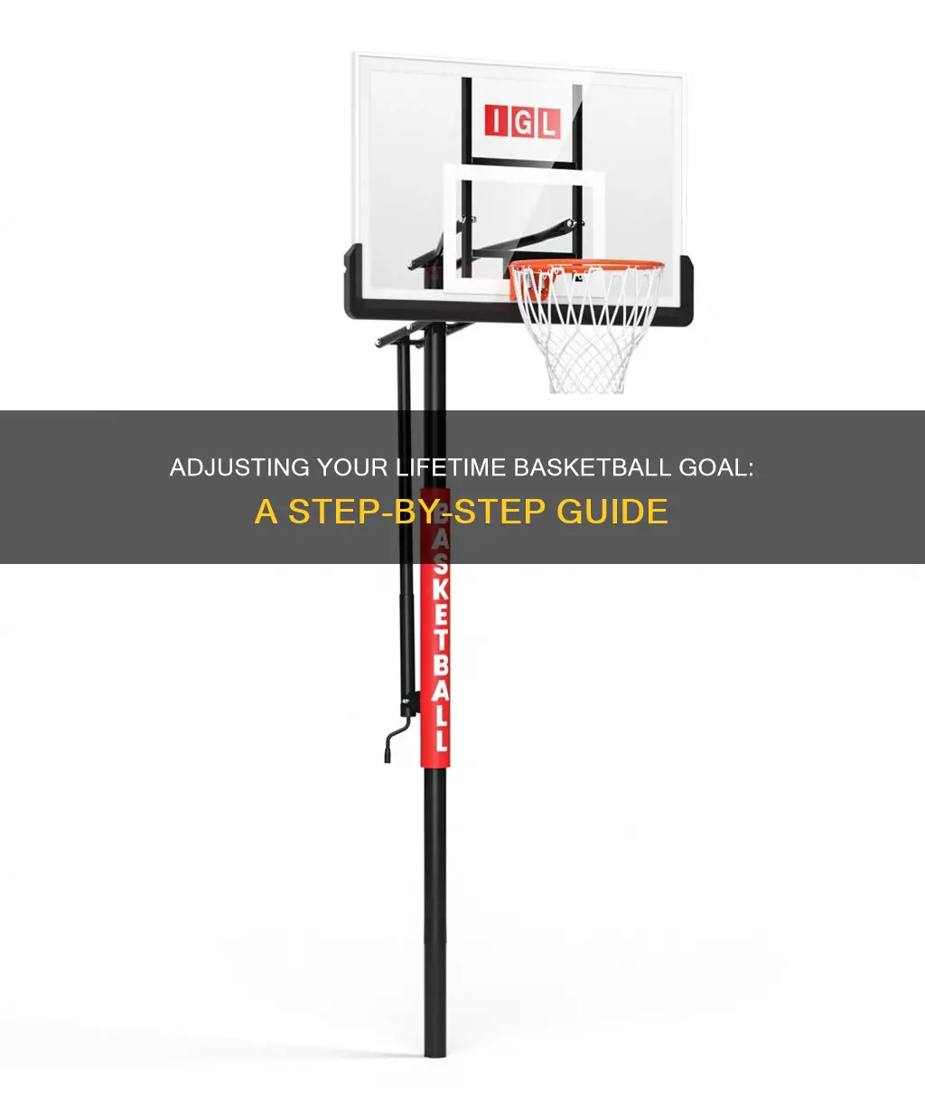 how to adjust lifetime basketball goal