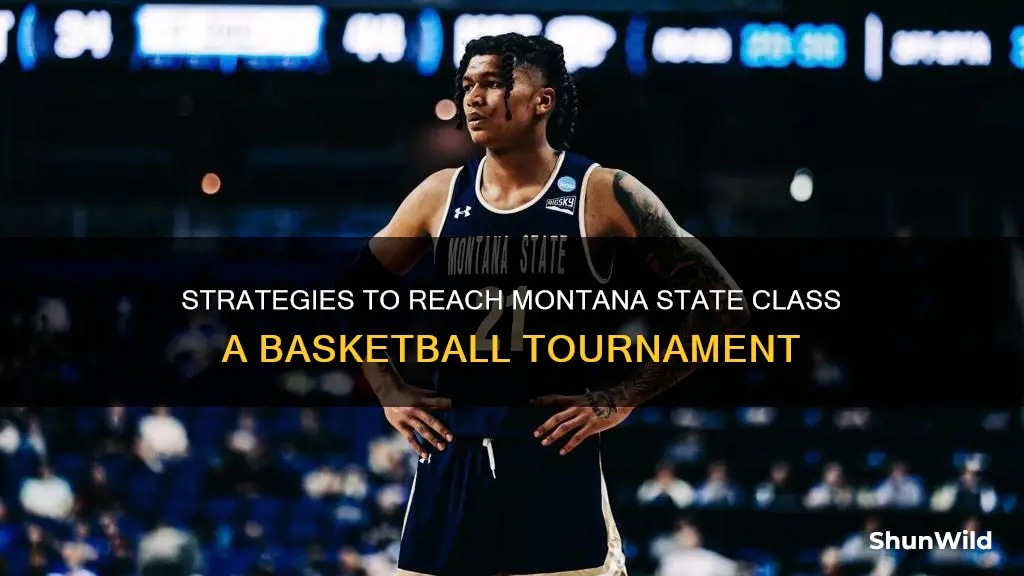 how to advance to montana state class a basketball tournament