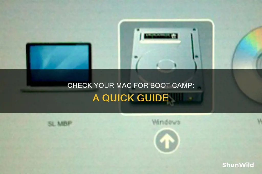 how to aee if yoyr mac has boot camp