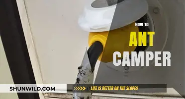 Mastering Ant Camping: Essential Tips for a Pest-Free Outdoor Adventure