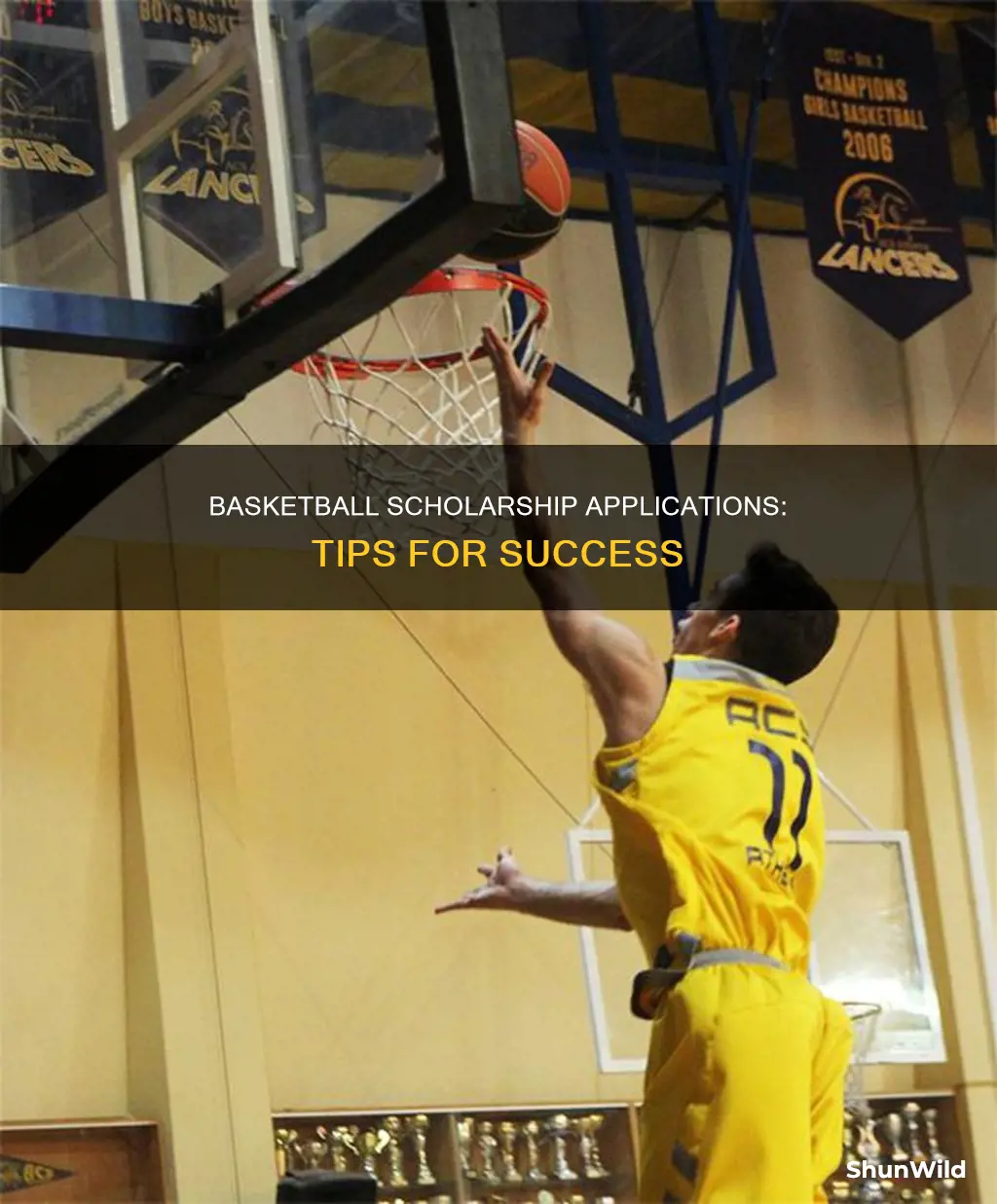 how to apply for a basketball scholarship