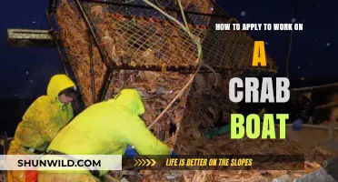 Dive into the Life of a Crab Boat Captain: Your Guide to Applying