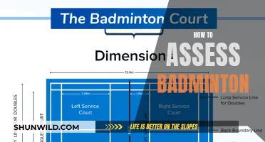 Assessing Badminton: Strategies for Evaluating Performance