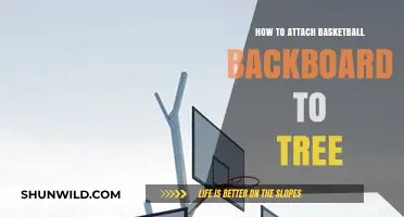 Mounting a Basketball Backboard to a Tree: A Step-by-Step Guide