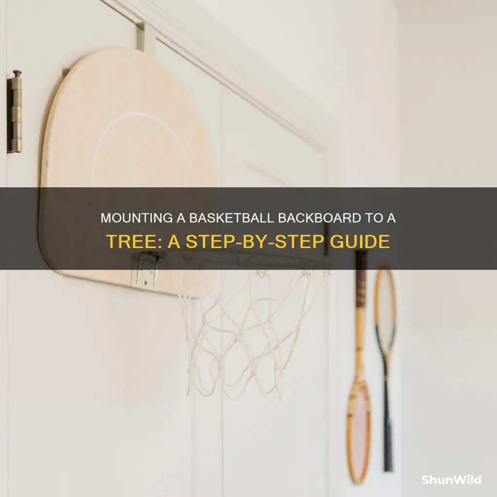 how to attach basketball backboard to tree