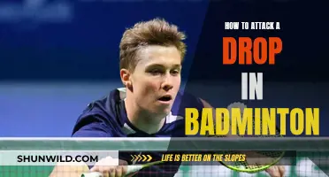 Dominating Drop Shots: Secrets to a Successful Attack