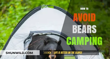 Stay Safe in the Wild: Essential Tips to Avoid Bears While Camping