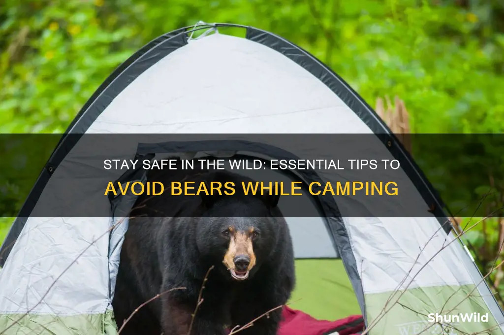 how to avoid bears camping