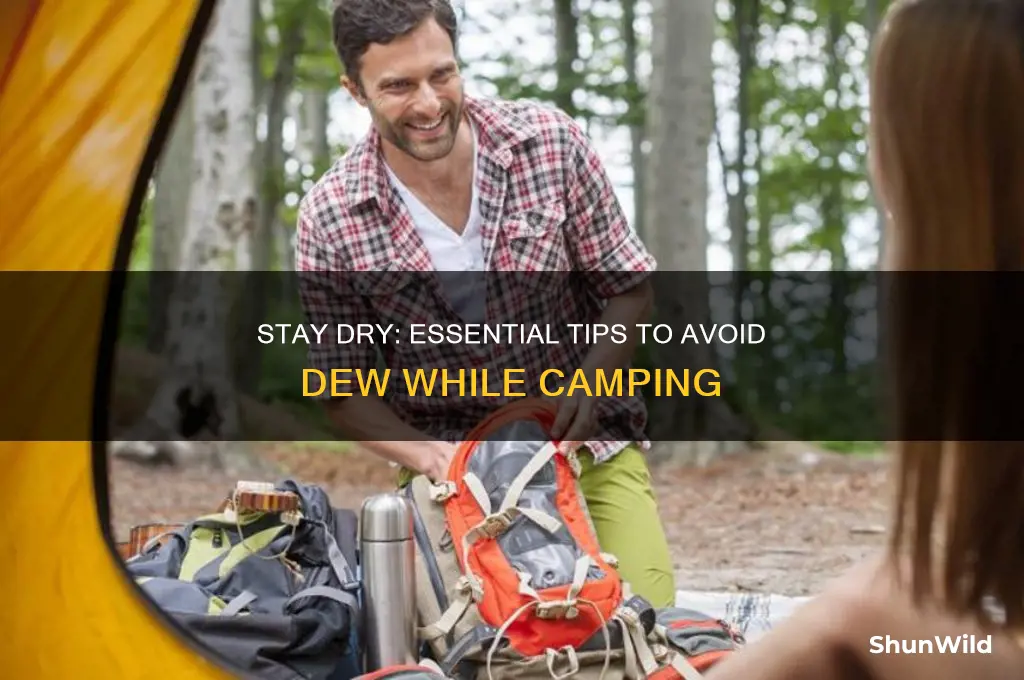 how to avoid dew camping