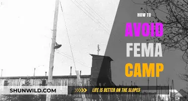 Surviving Crisis: Strategies to Evade FEMA Camp Relocation