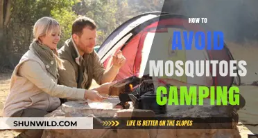 Camping Without Bites: Effective Tips to Avoid Mosquitoes Outdoors
