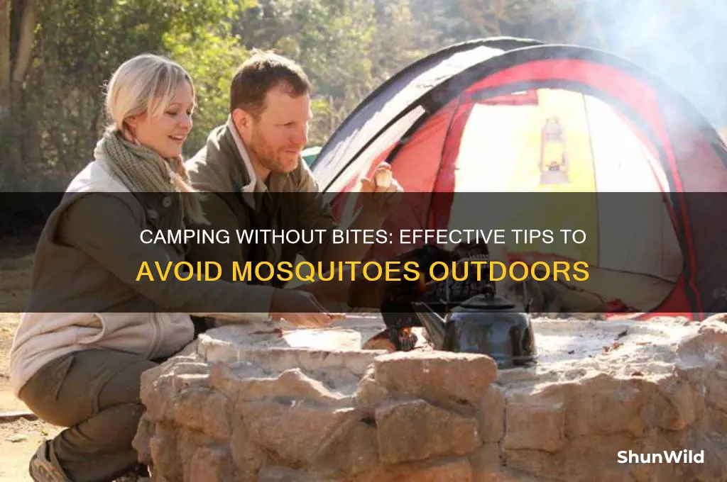 how to avoid mosquitoes camping