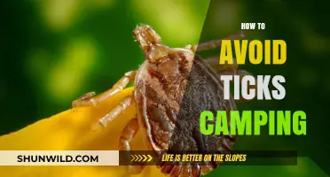 Camping Tick-Free: Essential Tips to Avoid Ticks in the Outdoors