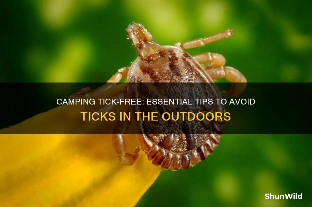 how to avoid ticks camping