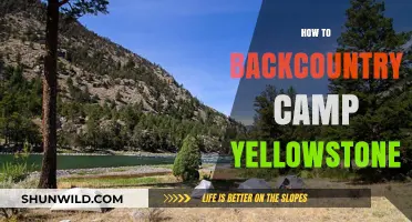 Backcountry Camping in Yellowstone: Essential Tips for an Unforgettable Adventure
