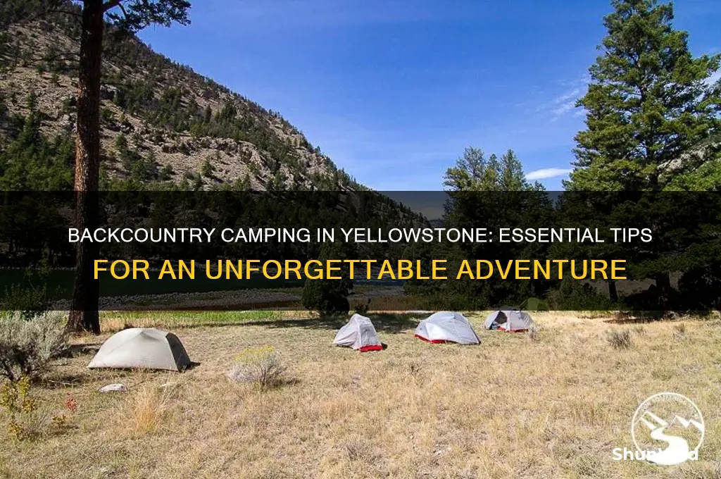 how to backcountry camp yellowstone