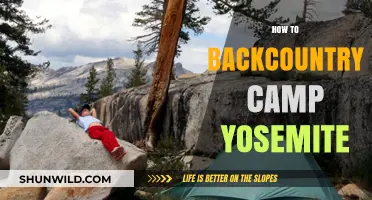 Ultimate Guide to Backcountry Camping in Yosemite National Park