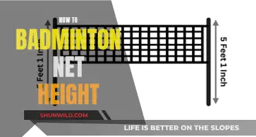 Setting Up to Smash: Badminton Net Height Guide