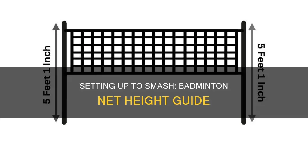 how to badminton net height