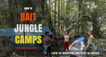 Mastering Jungle Camp Baiting: Strategies for Efficient Farming and Ganking