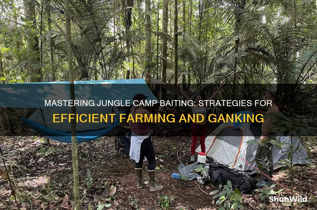 how to bait jungle camps