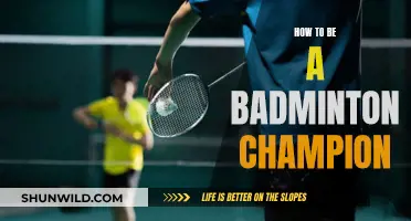 Strategies to Rule the Badminton Court