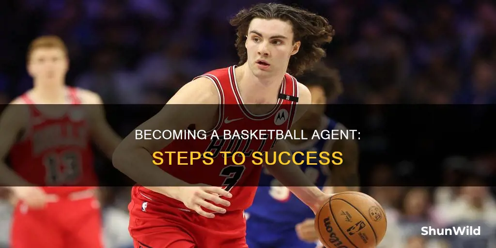 how to be a basketball agent