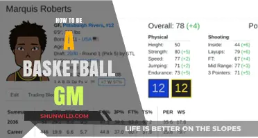 Strategies for Becoming a Successful Basketball GM