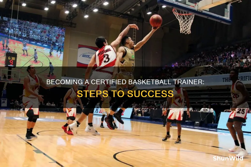 how to be a certified basketball trainer